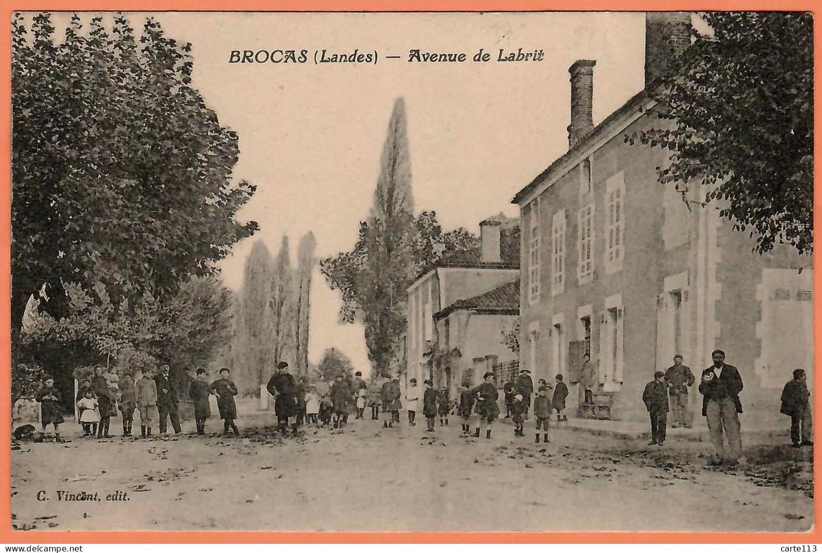 40 - B34032CPA - BROCAS LES FORGES - Avenue De Labrit - Très Bon état - LANDES - Other & Unclassified