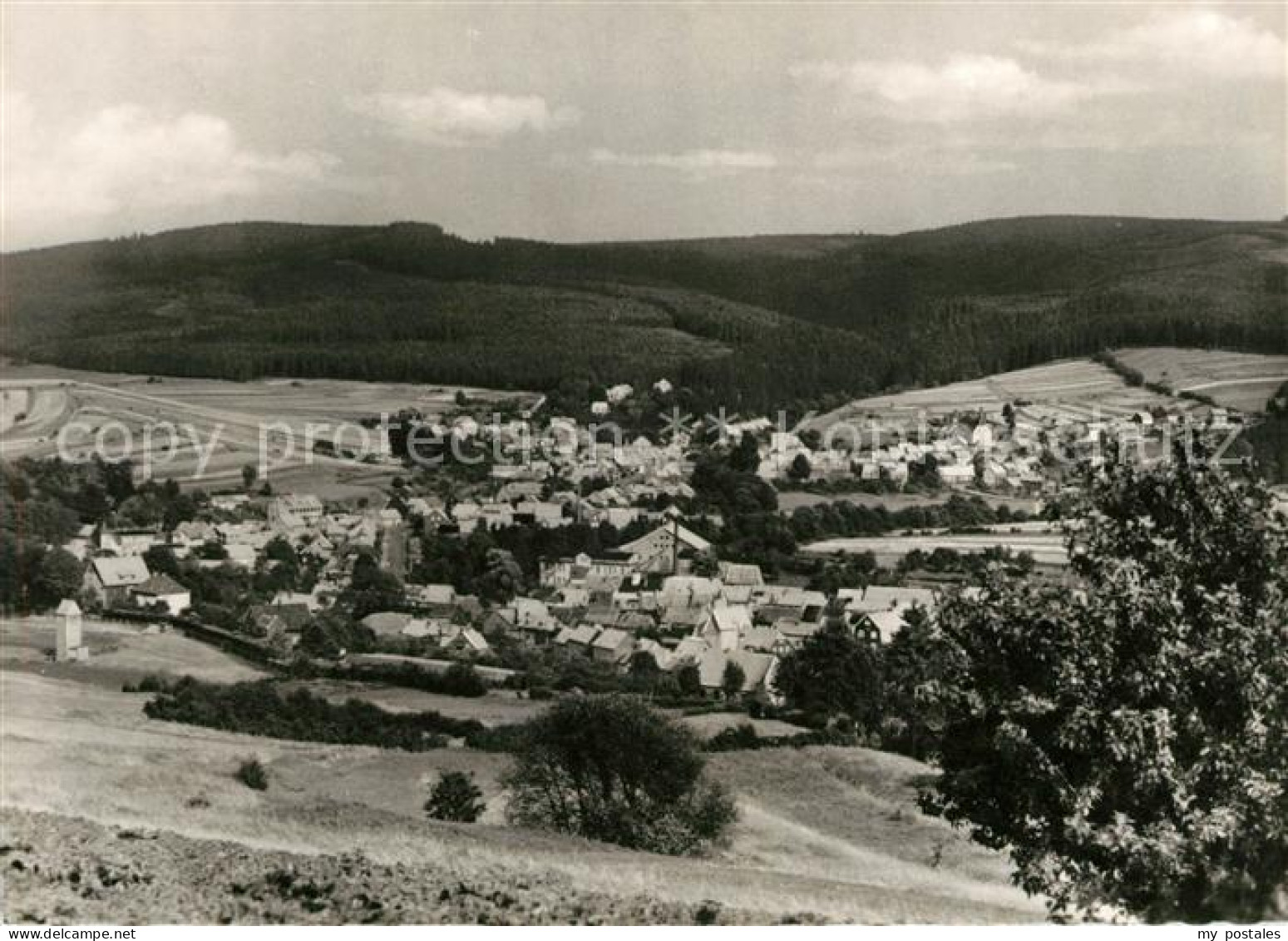 73031282 Tambach-Dietharz Gaensekoepfchen Panorama Tambach-Dietharz - Tambach-Dietharz