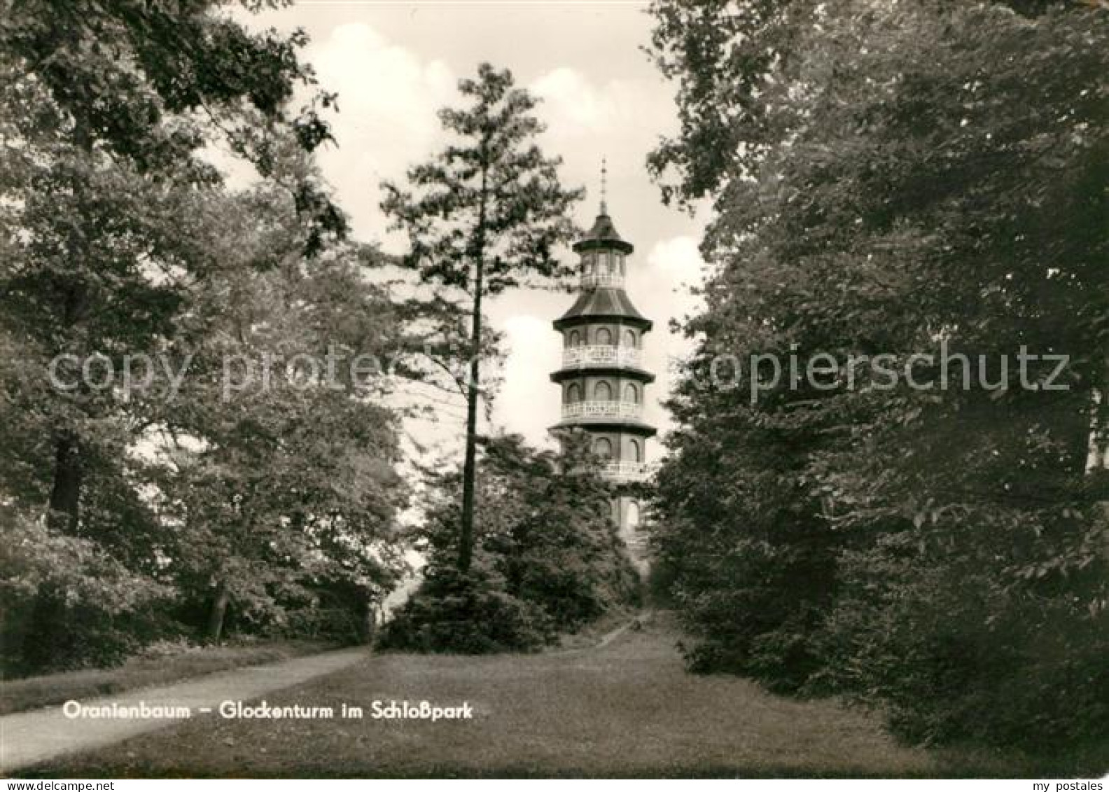 73031223 Oranienbaum Glockenturm Schlosspark Oranienbaum - Otros & Sin Clasificación