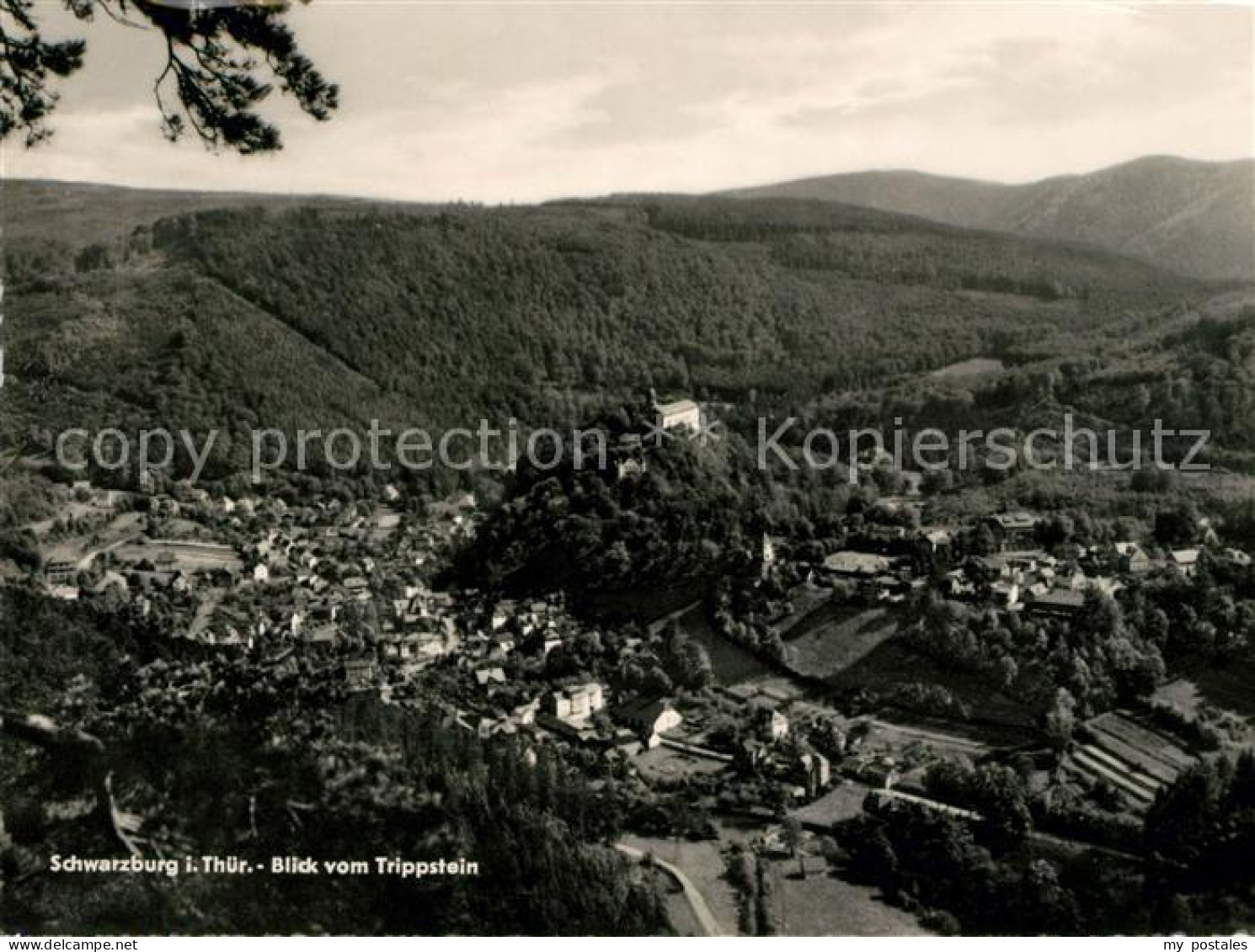 73031188 Schwarzburg Thueringer Wald Blick Vom Trippstein Schwarzburg Thueringer - Sonstige & Ohne Zuordnung