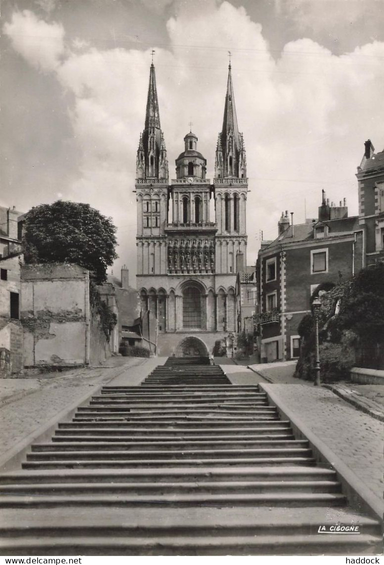 ANGERS : LA CATHEDRALE - Angers