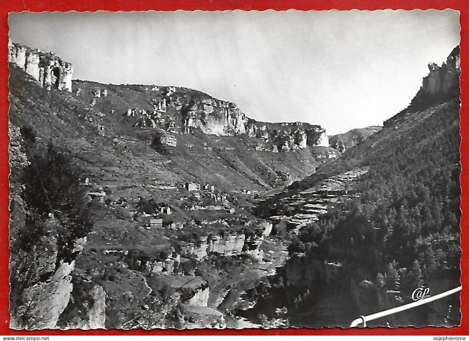 Le Truel (12) Les Gorges De La Jonte Vues Du Belvédère Des Terrasses 2scans - Autres & Non Classés