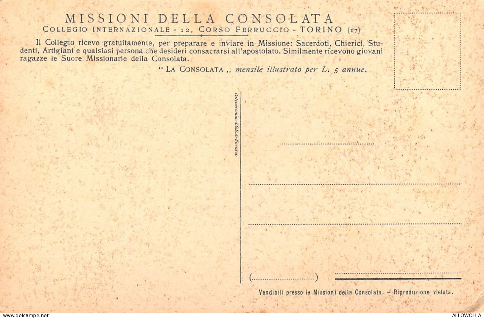 26911 " NELLE MISSIONI DELLA CONSOLATA-UN SUPERBO ESEMPLARE DI EUFORBIA CANDELABRUM "CART.POST. NON SPED. - Ohne Zuordnung