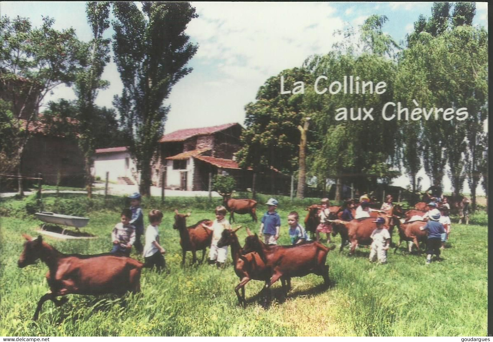 La Colline Aux Chèvres Dans Le Tarn - Chez Etevenon - Andouque - Valderies- (P) - Autres & Non Classés