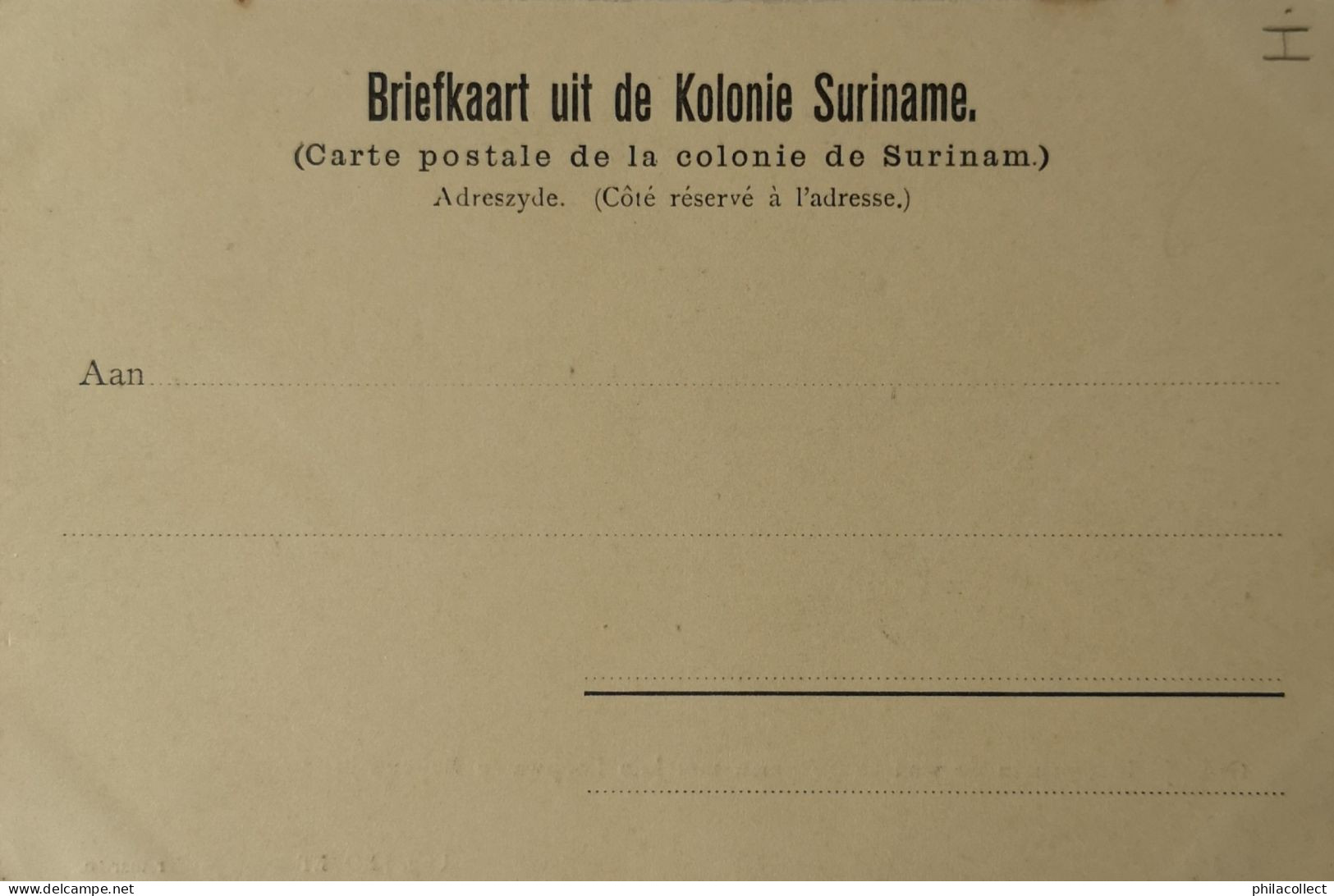 Suriname - Paramaribo // Groepje Indianen In De Stad Aangekomen..... Ca 1900 - Suriname