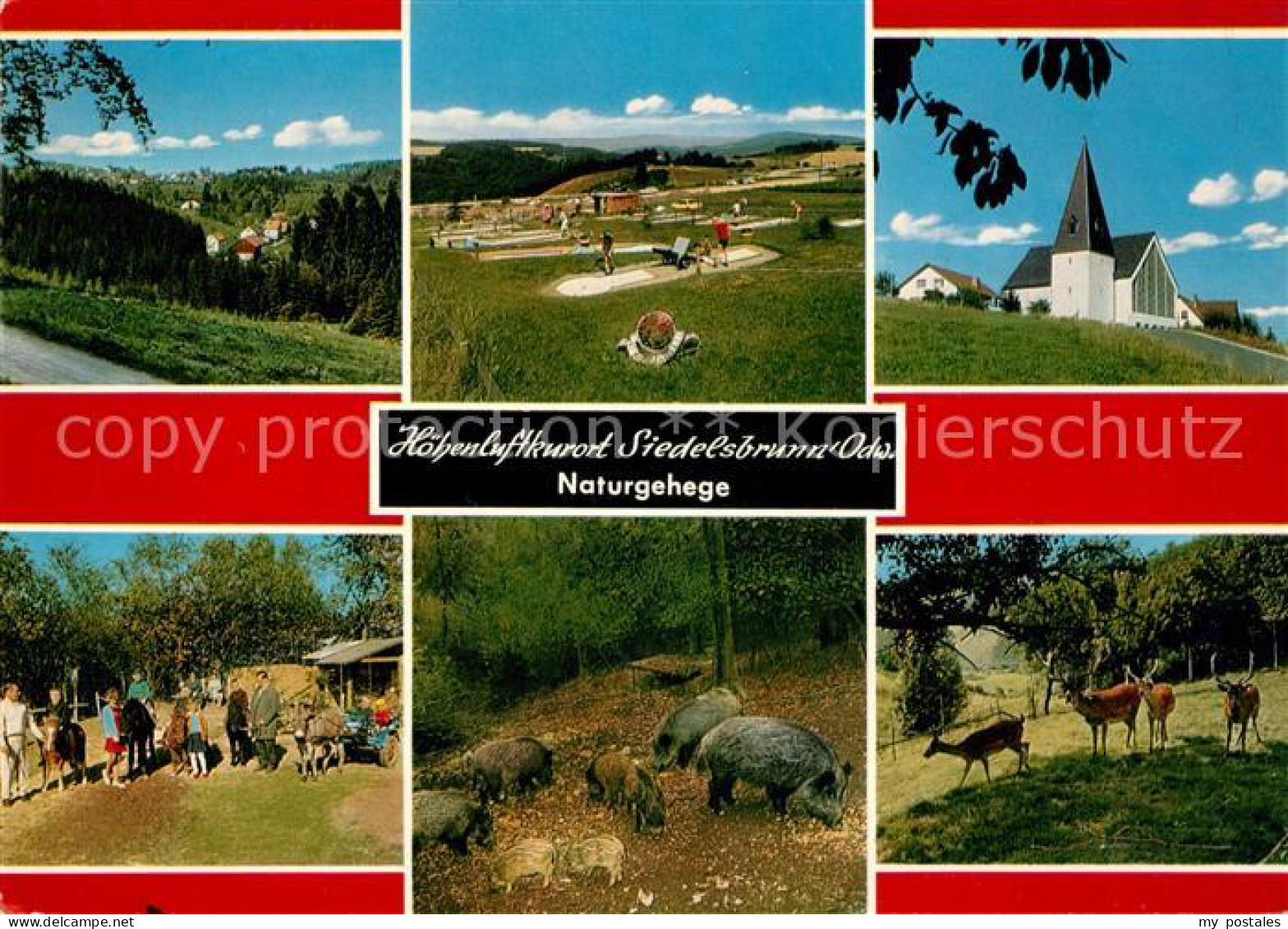 73030452 Siedelsbrunn Naturgehege Panorama Minigolf Kirche Siedelsbrunn - Andere & Zonder Classificatie