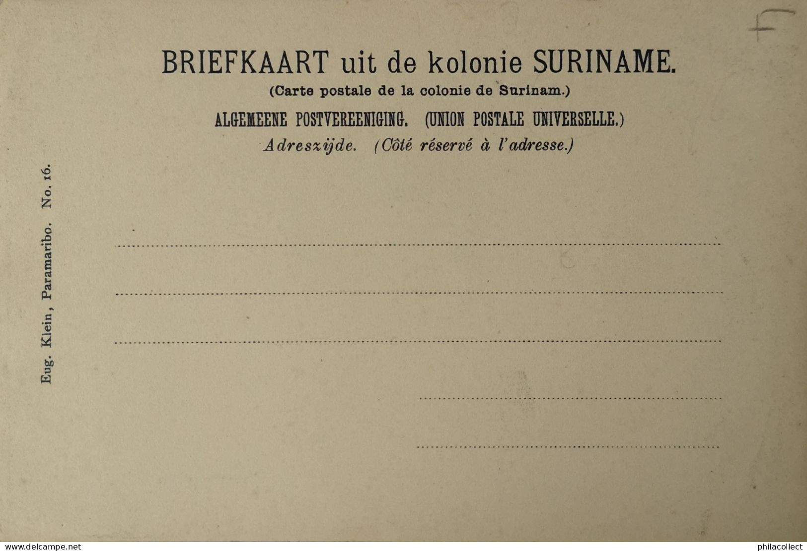Suriname - Paramaribo // Steenbakker Gracht - Bokkebrug Ca 1900 - Suriname
