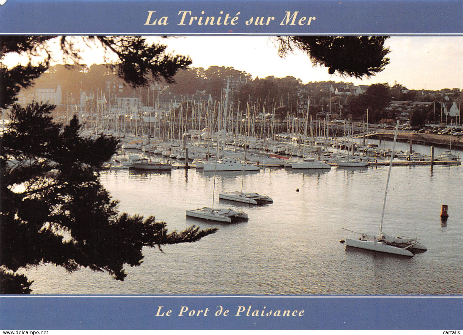 56-LA TRINITE SUR MER-N°3808-C/0195 - La Trinite Sur Mer