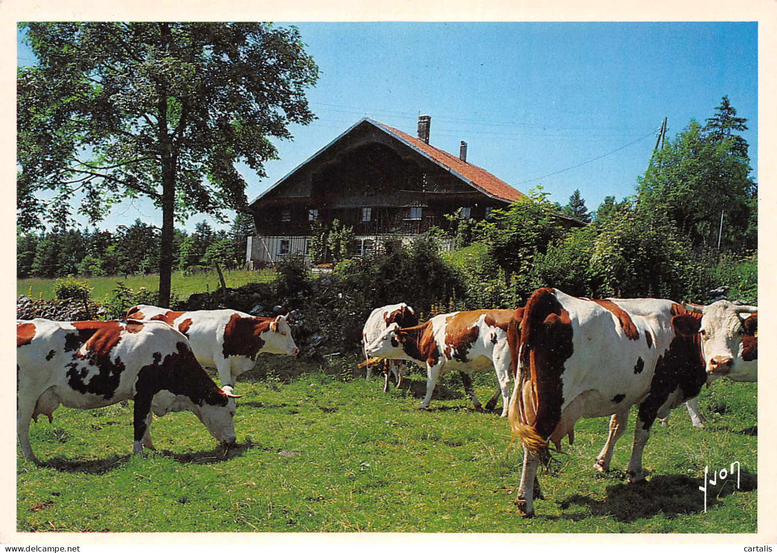 25-LE HAUT DOUBS-N°3808-A/0157 - Other & Unclassified