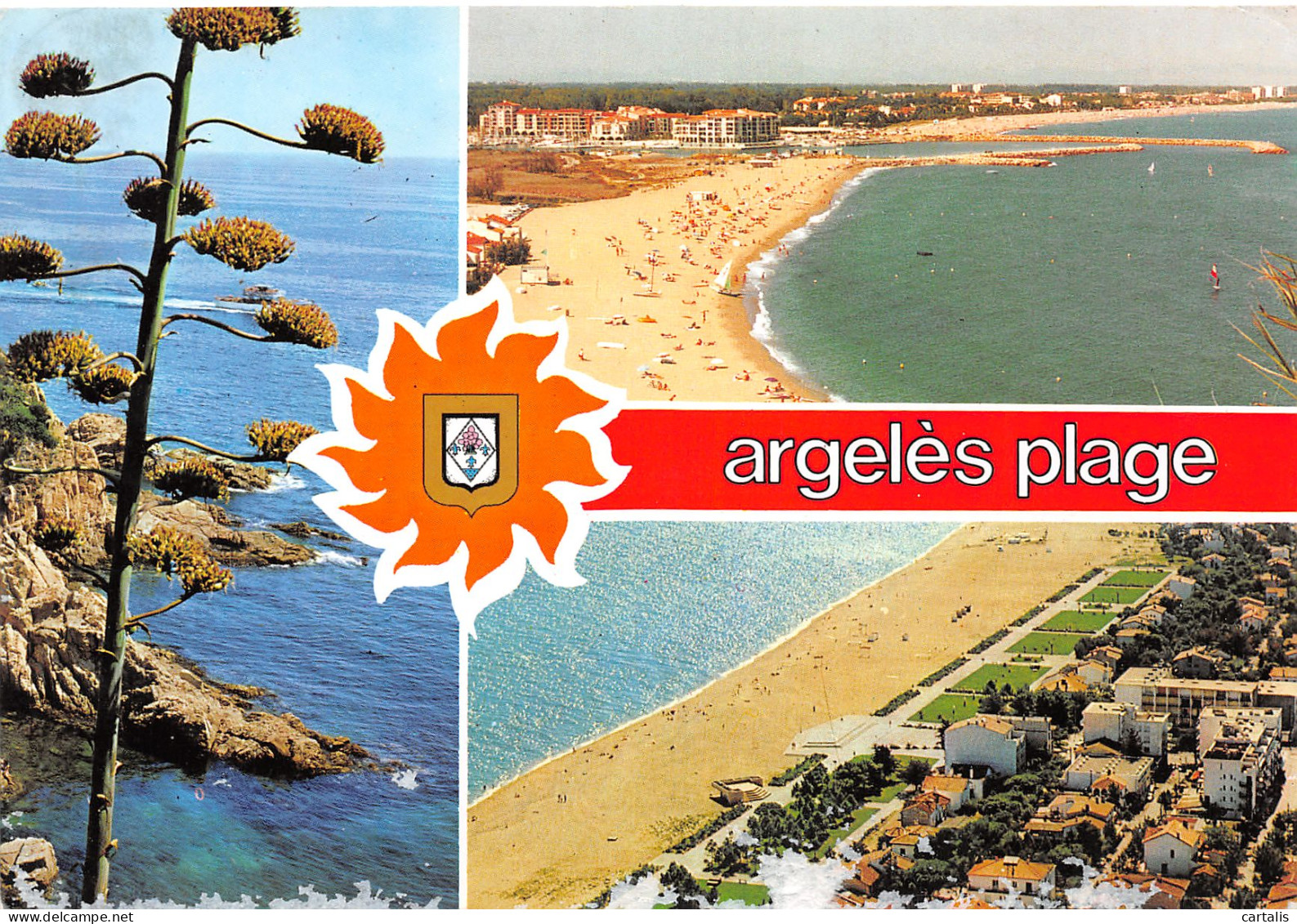 66-ARGELES PLAGE-N°3808-A/0121 - Argeles Sur Mer