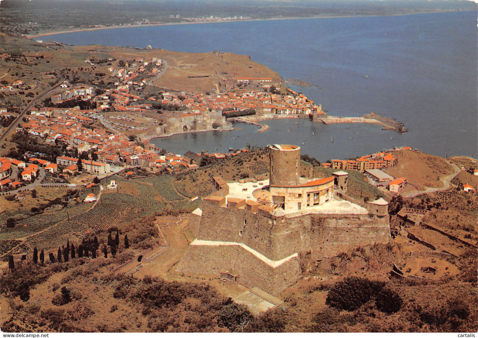 66-COLLIOURE-N°3808-D/0115 - Collioure