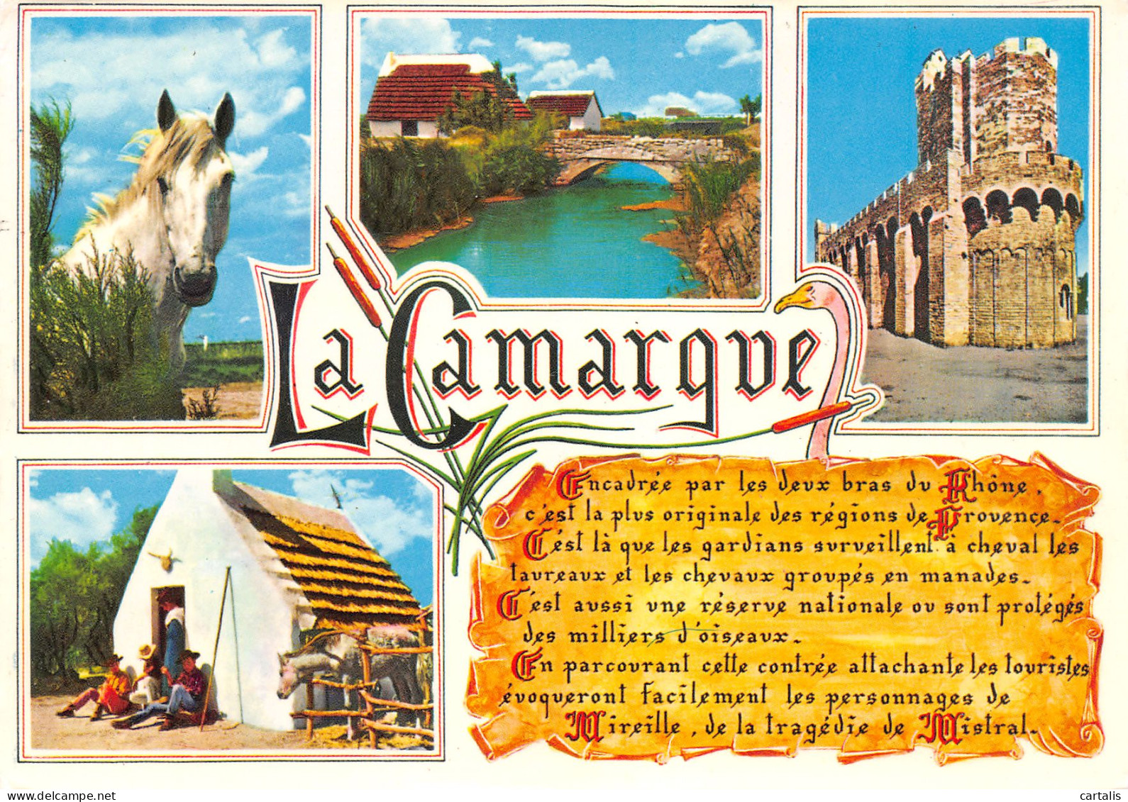 13-LA CAMARGUE-N°3809-B/0195 - Other & Unclassified