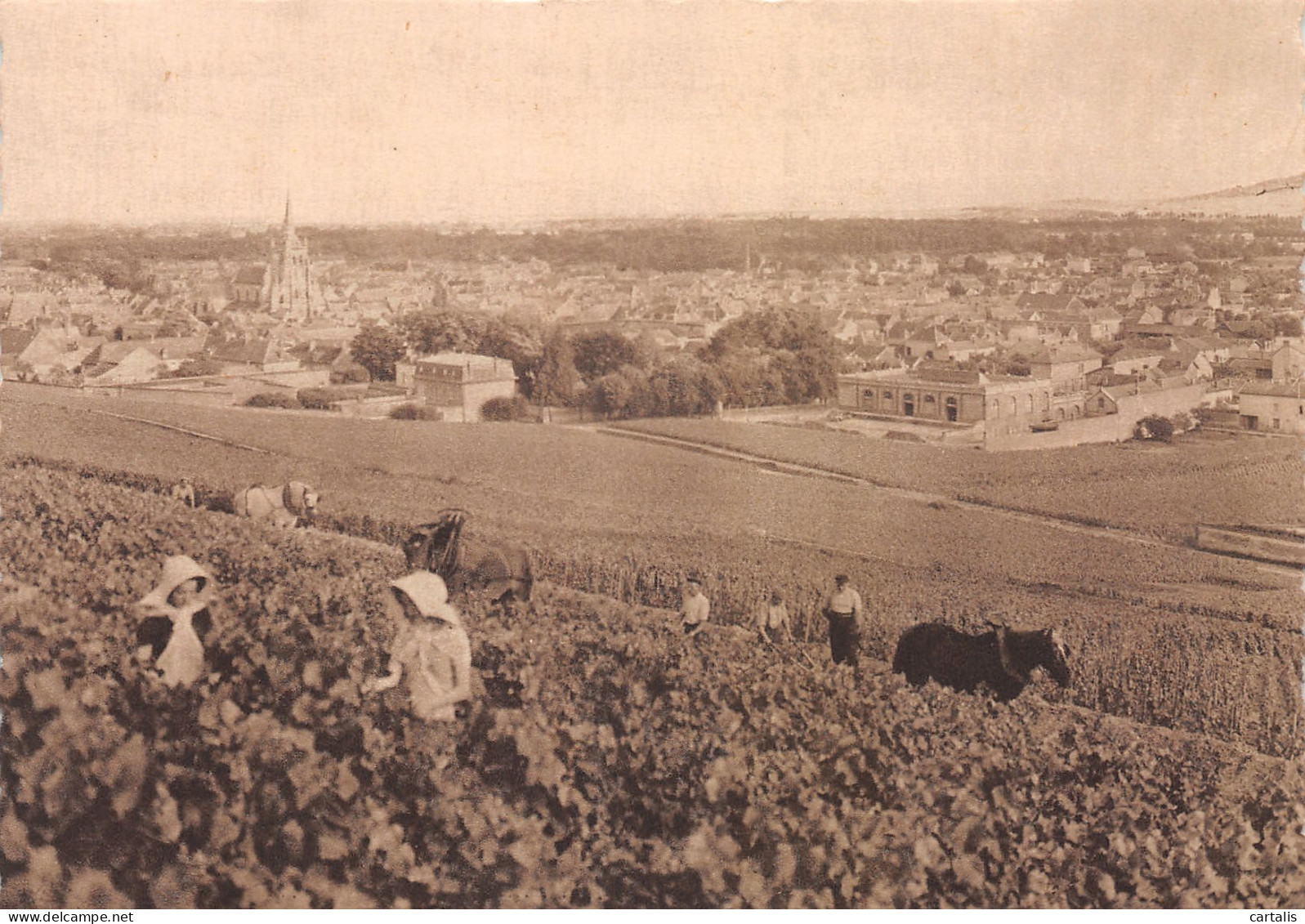 51-REIMS-N°3809-B/0061 - Reims