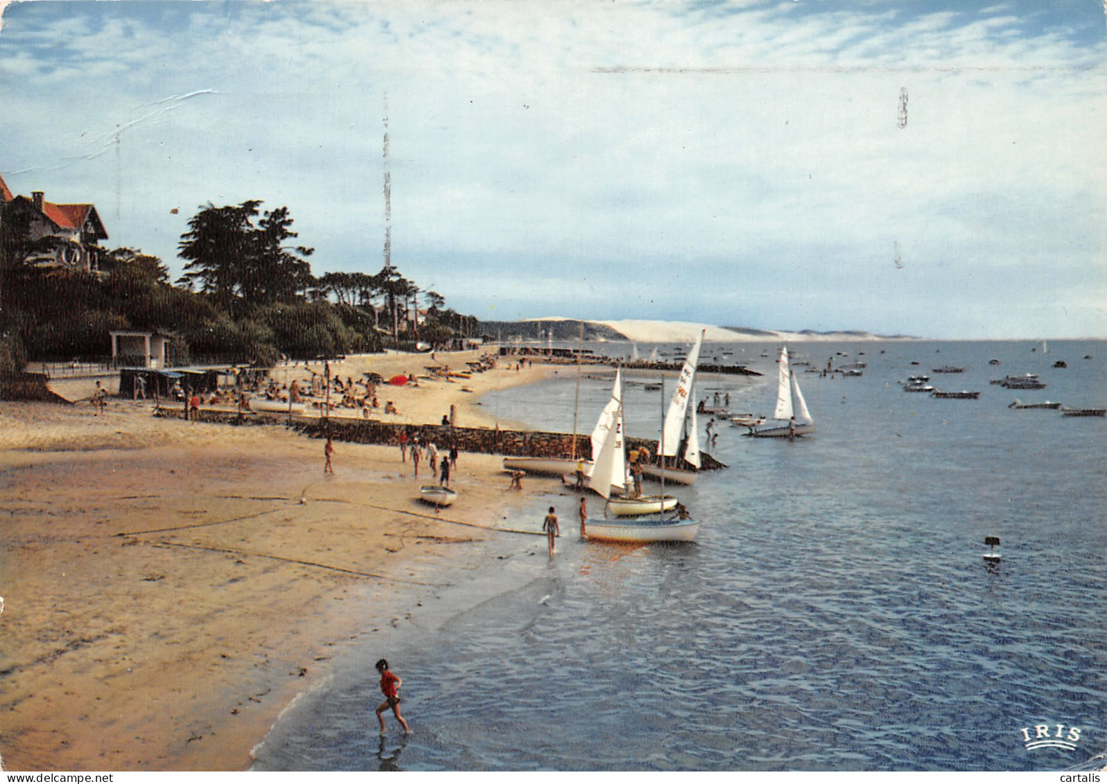 33-BASSIN D ARCACHON-N°3809-D/0213 - Other & Unclassified