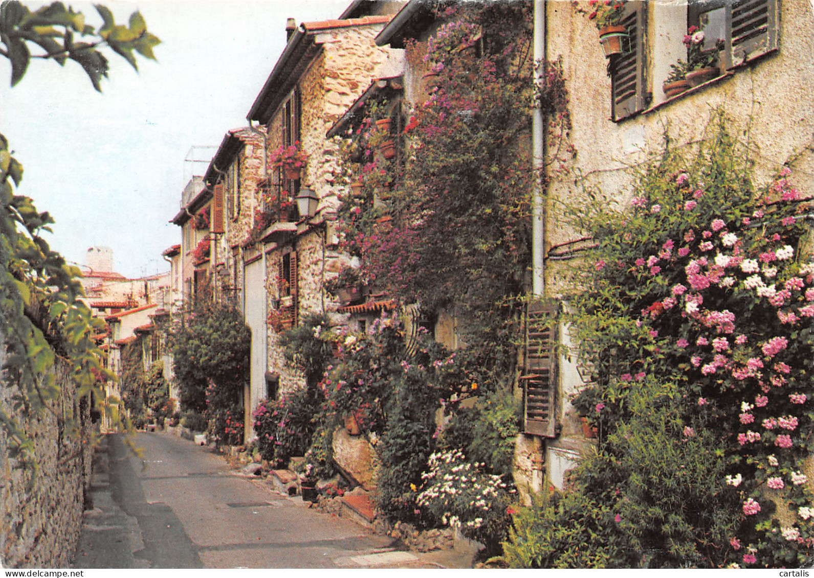 06-ANTIBES-N°3809-D/0079 - Sonstige & Ohne Zuordnung