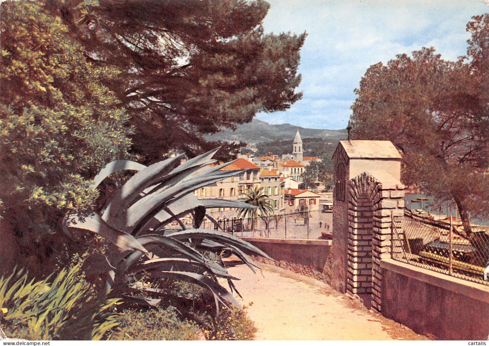 83-SANARY-N°3810-C/0203 - Sanary-sur-Mer