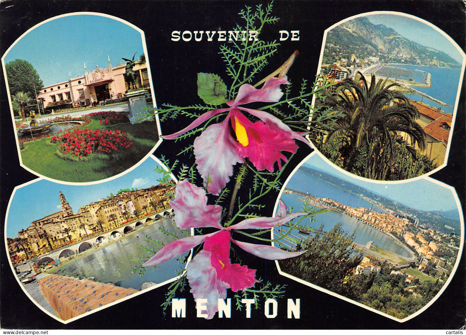 06-MENTON-N°3810-B/0253 - Menton