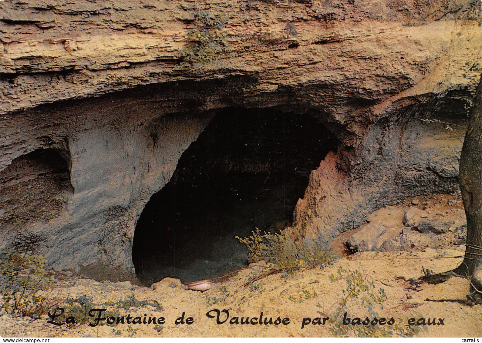 84-LA FONTAINE DE VAUCLUSE-N°3810-A/0209 - Andere & Zonder Classificatie