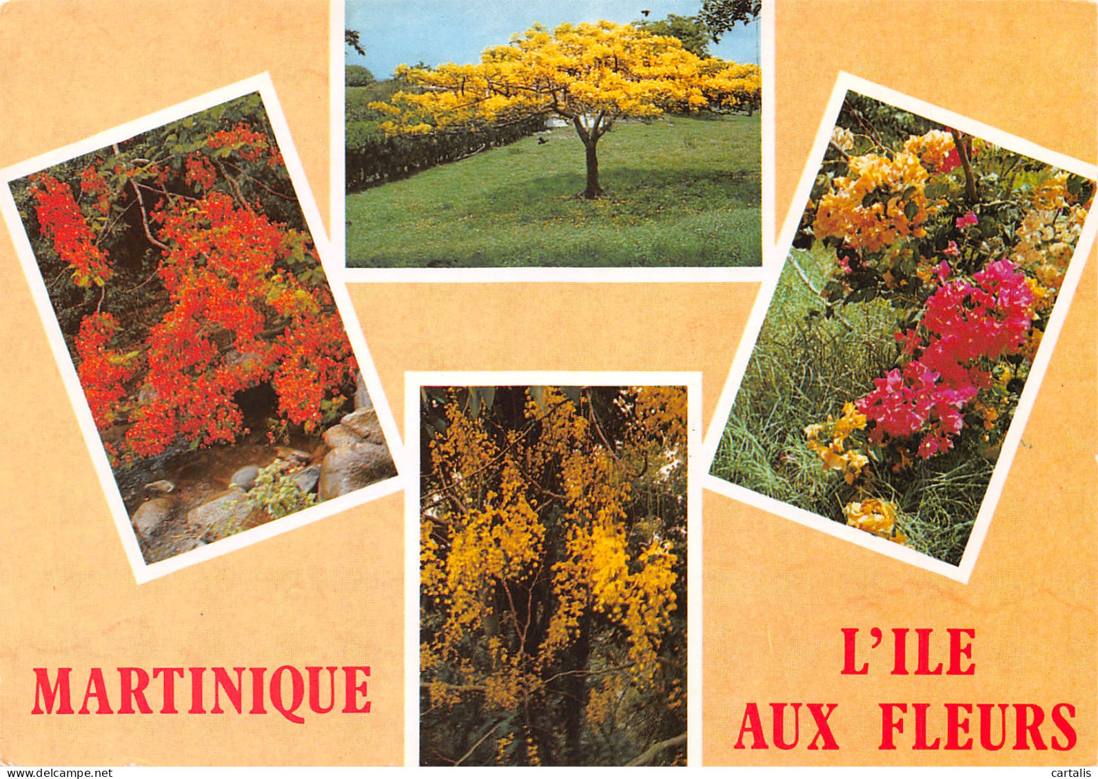 972-MARTINIQUE-N°3810-D/0395 - Andere & Zonder Classificatie