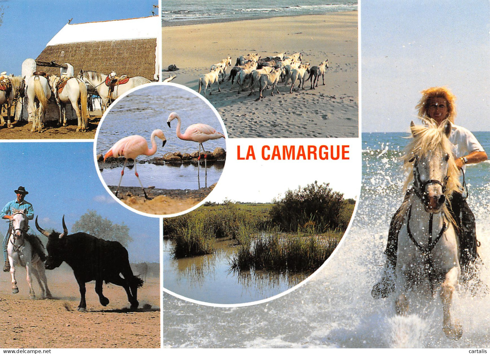 13-LA CAMARGUE-N°3810-D/0375 - Other & Unclassified