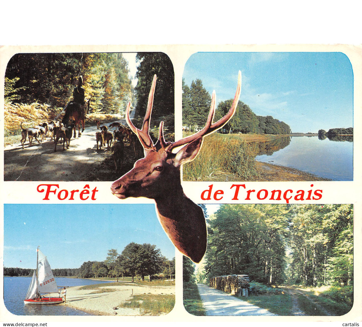 03-FORET DE TRONCAIS-N°3811-C/0277 - Autres & Non Classés
