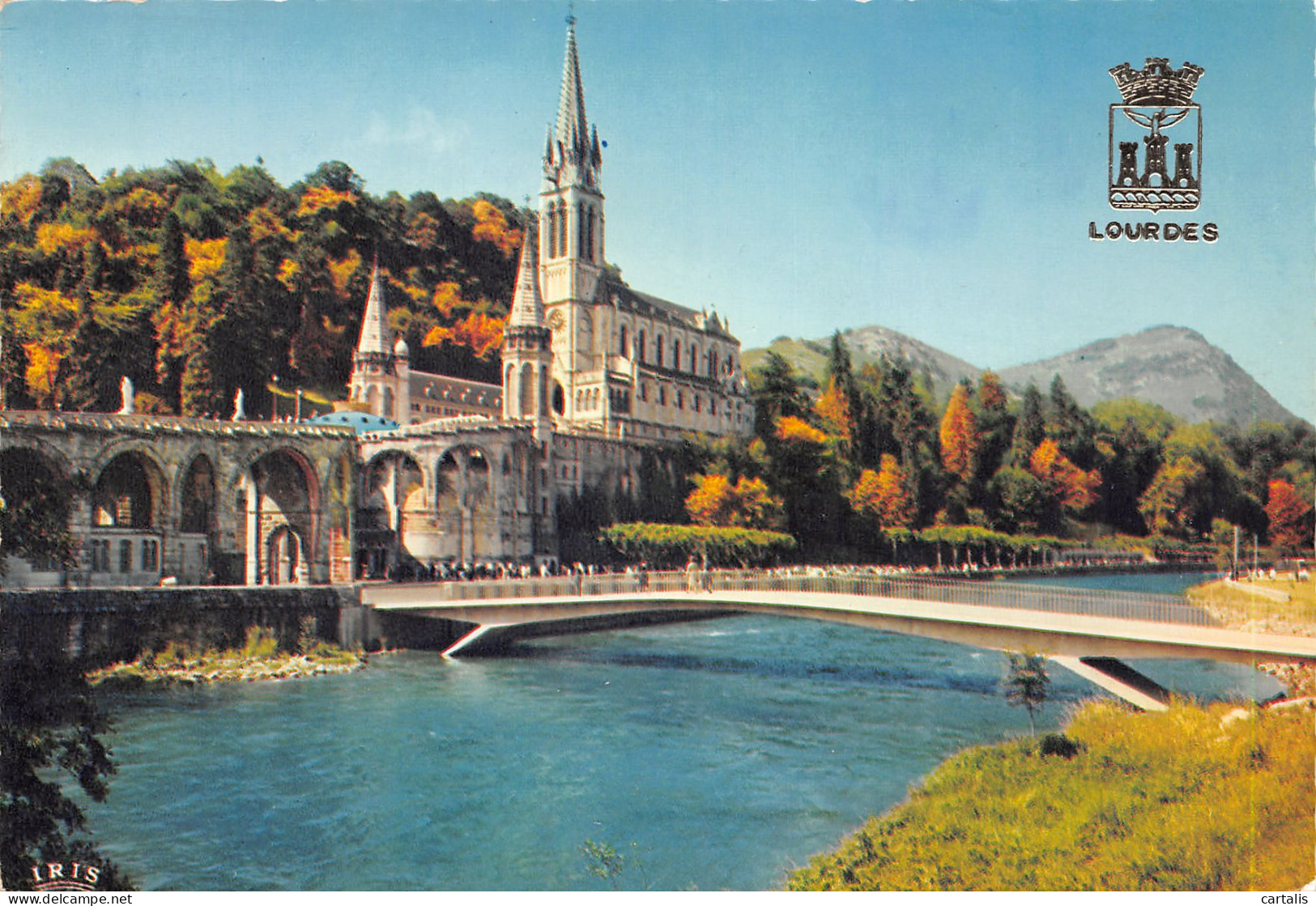 65-LOURDES-N°3811-B/0129 - Lourdes