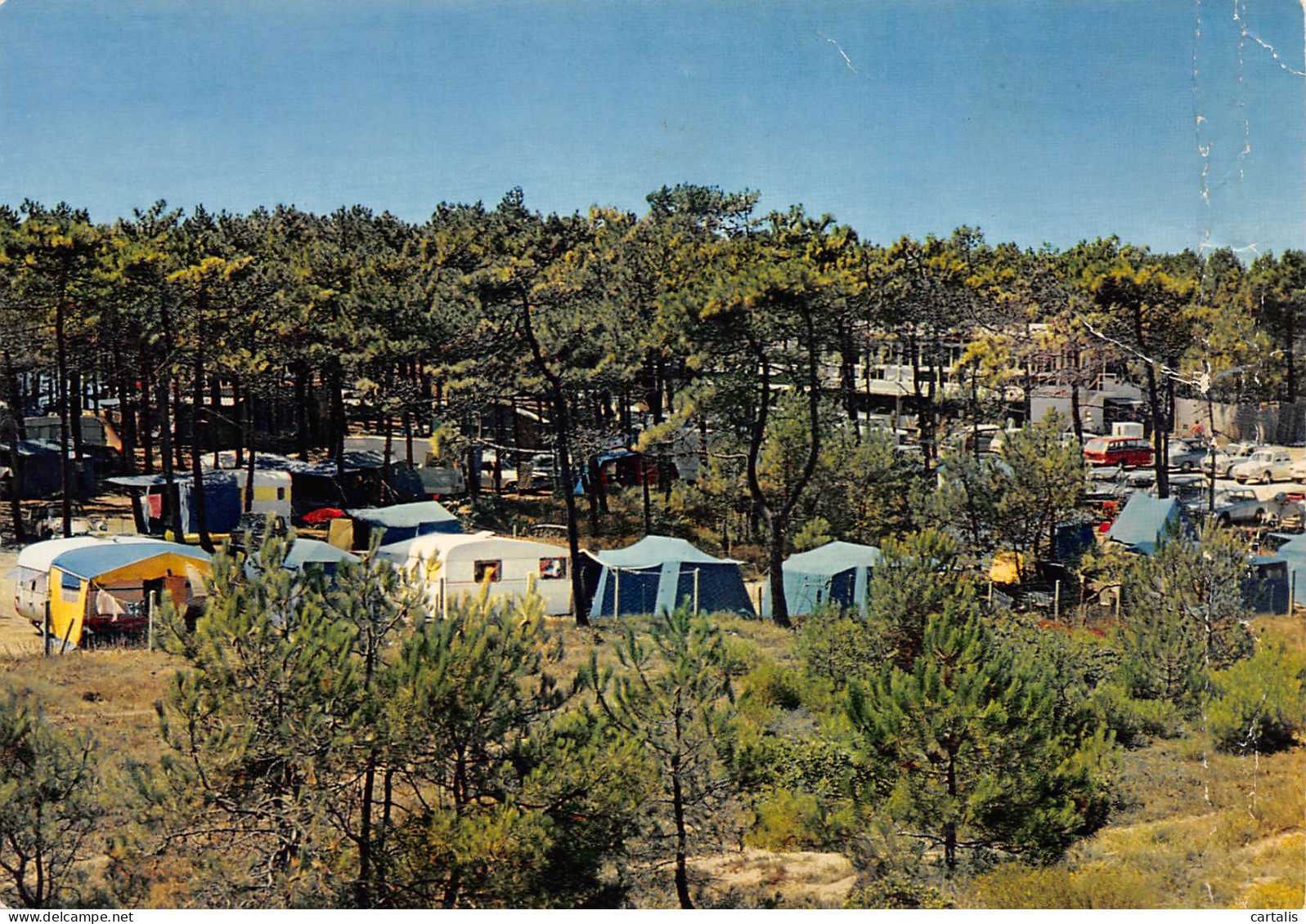 17-ILE D OLERON-N°3812-B/0387 - Ile D'Oléron