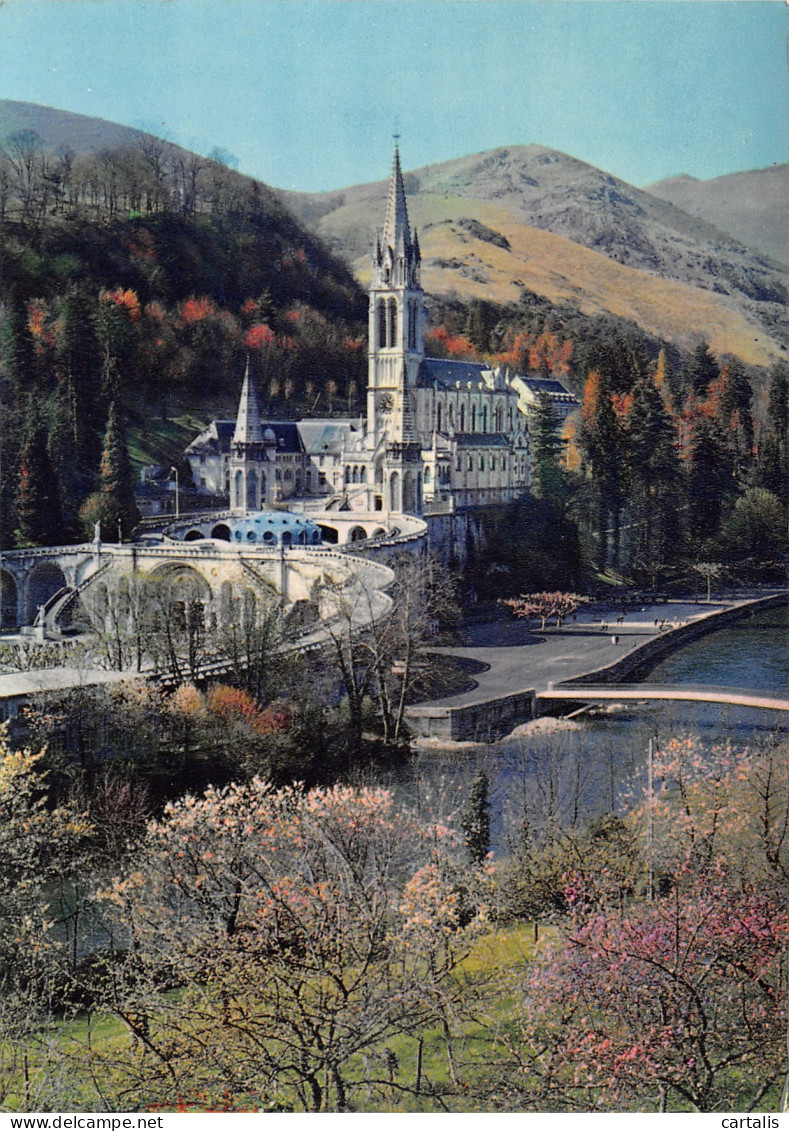 65-LOURDES-N°3812-B/0273 - Lourdes