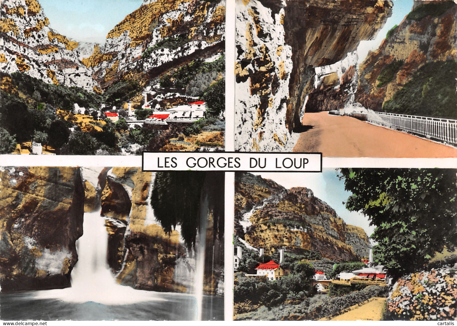 06-GORGES DU LOUP-N°3812-A/0223 - Andere & Zonder Classificatie