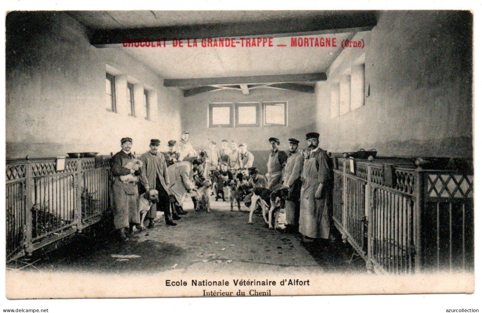Ecole Nationale Vétérinaire. Intérieur Du Chenil - Maisons Alfort