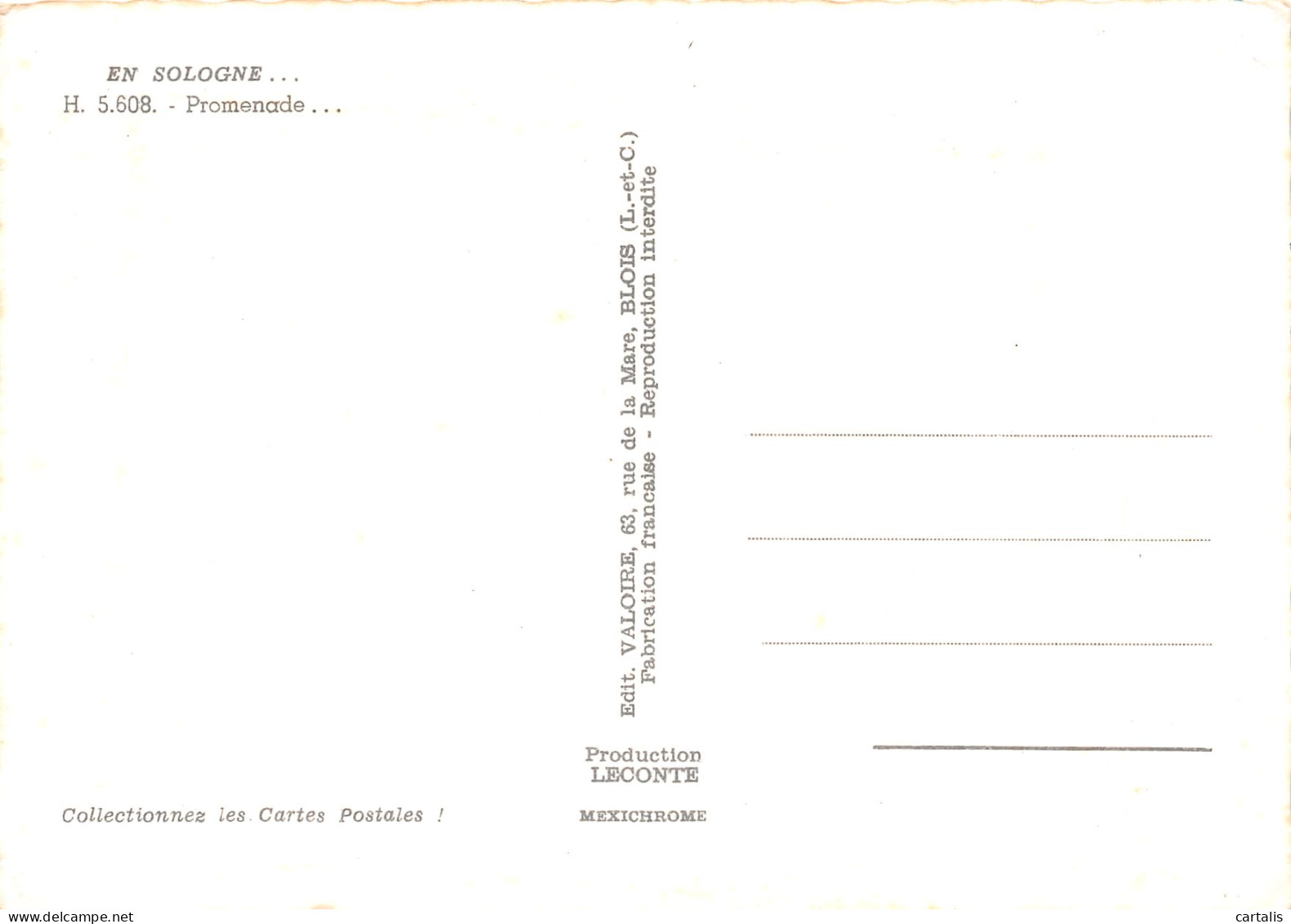 41-EN SOLOGNE-N°3813-A/0055 - Other & Unclassified