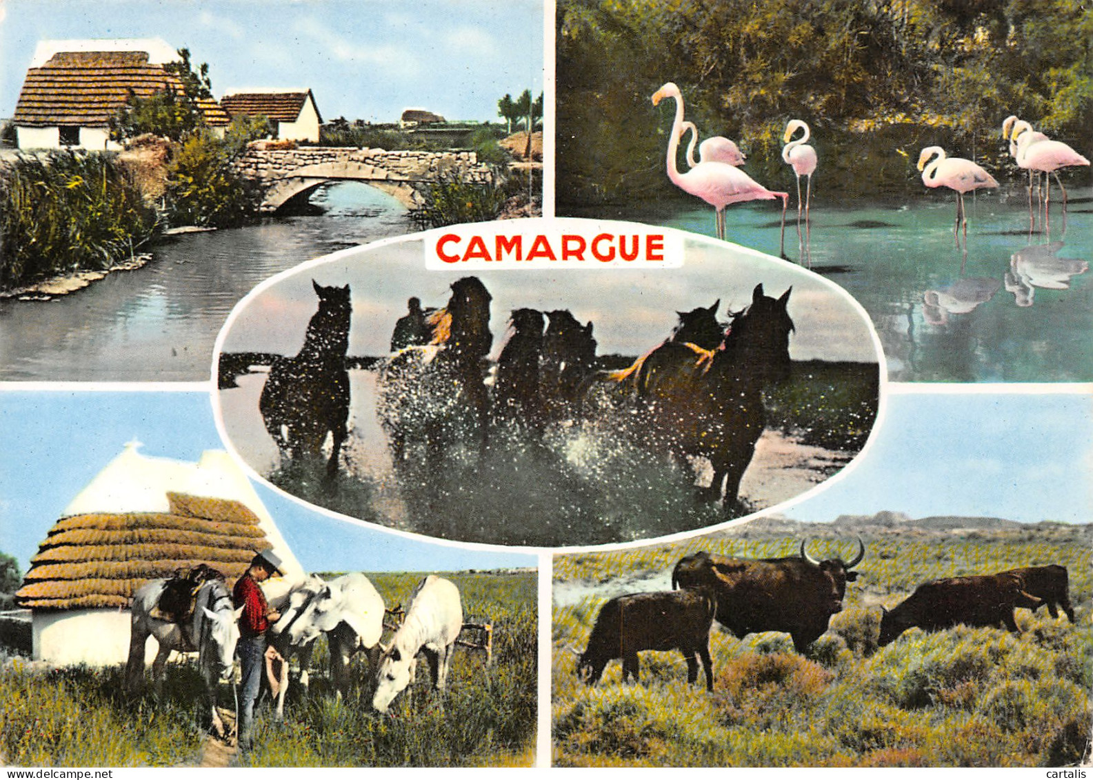 13-LA CAMARGUE-N°3812-D/0033 - Other & Unclassified