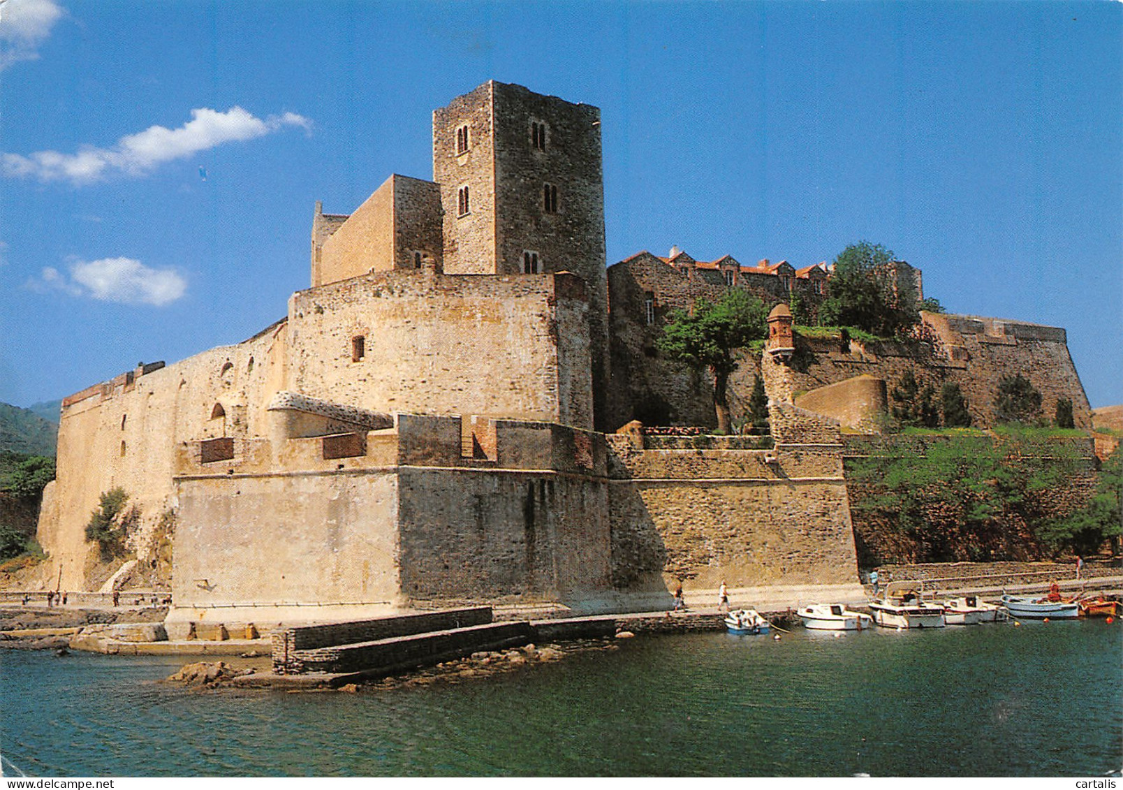 66-COLLIOURE-N°3813-A/0339 - Collioure