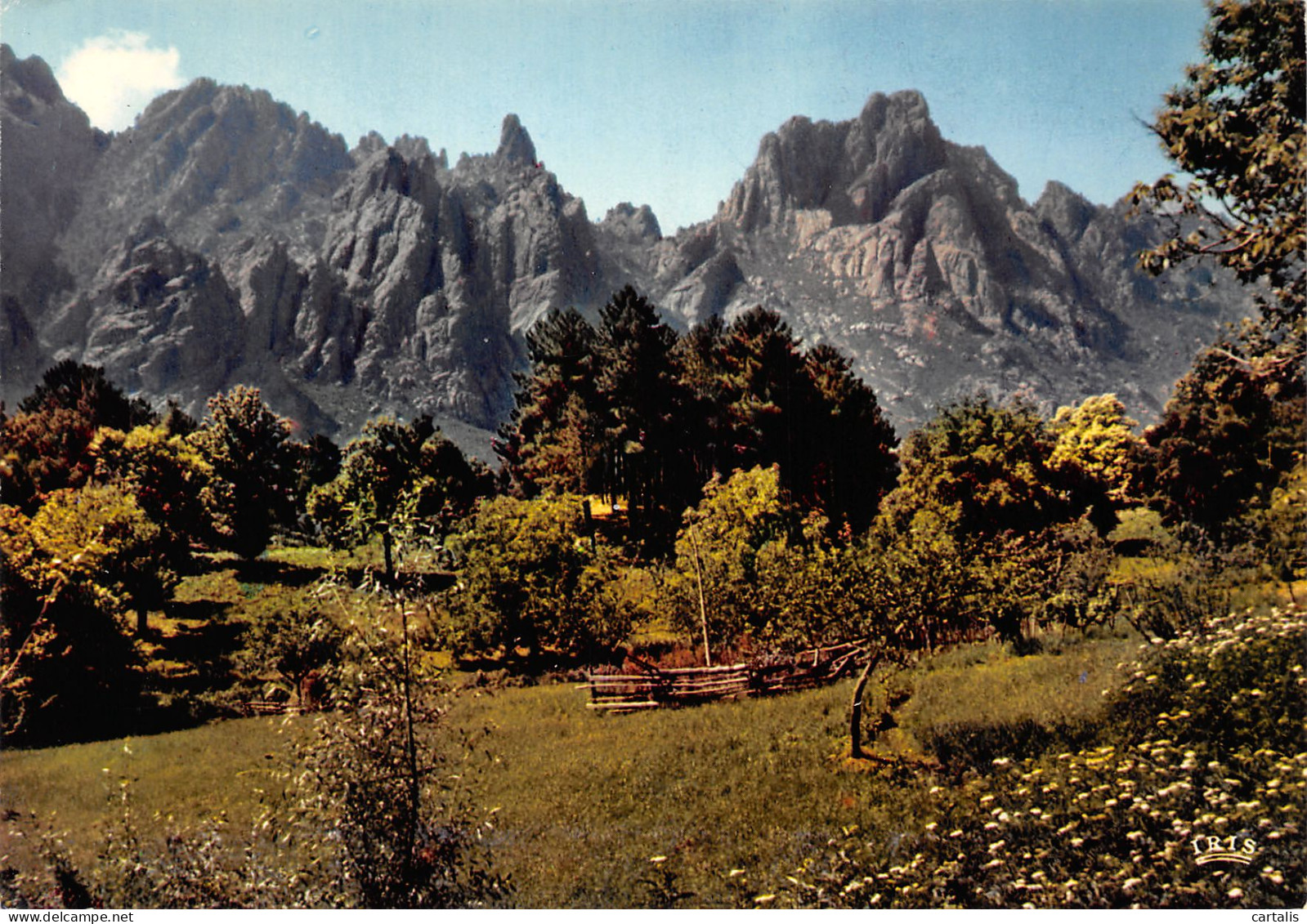 20-CORSE AIGUILLES DE BAVELLA-N°3813-A/0229 - Andere & Zonder Classificatie