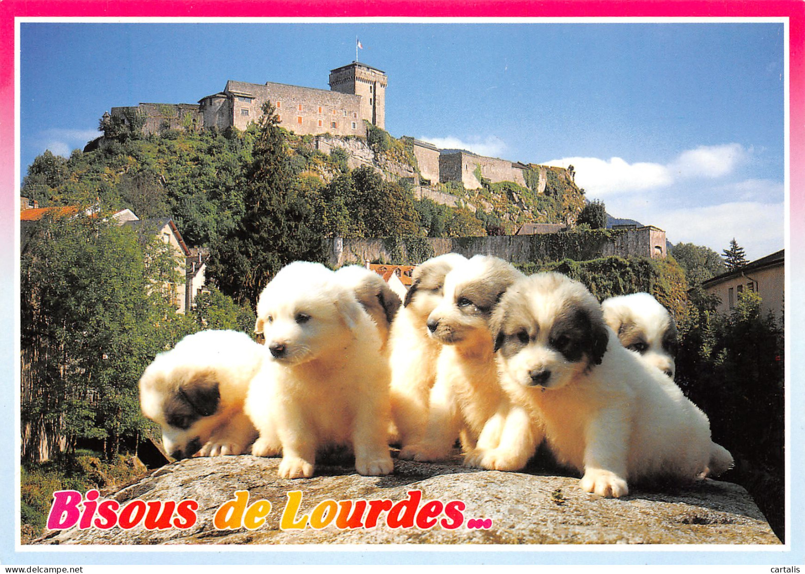 65-LOURDES-N°3814-C/0205 - Lourdes