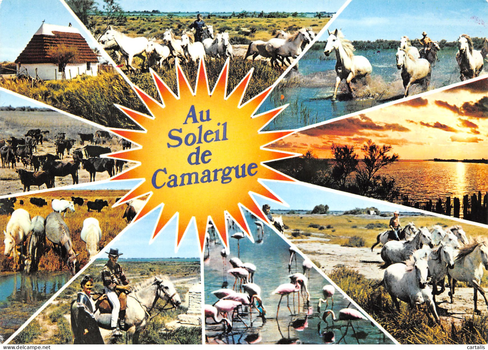 13-LA CAMARGUE-N°3814-B/0247 - Sonstige & Ohne Zuordnung