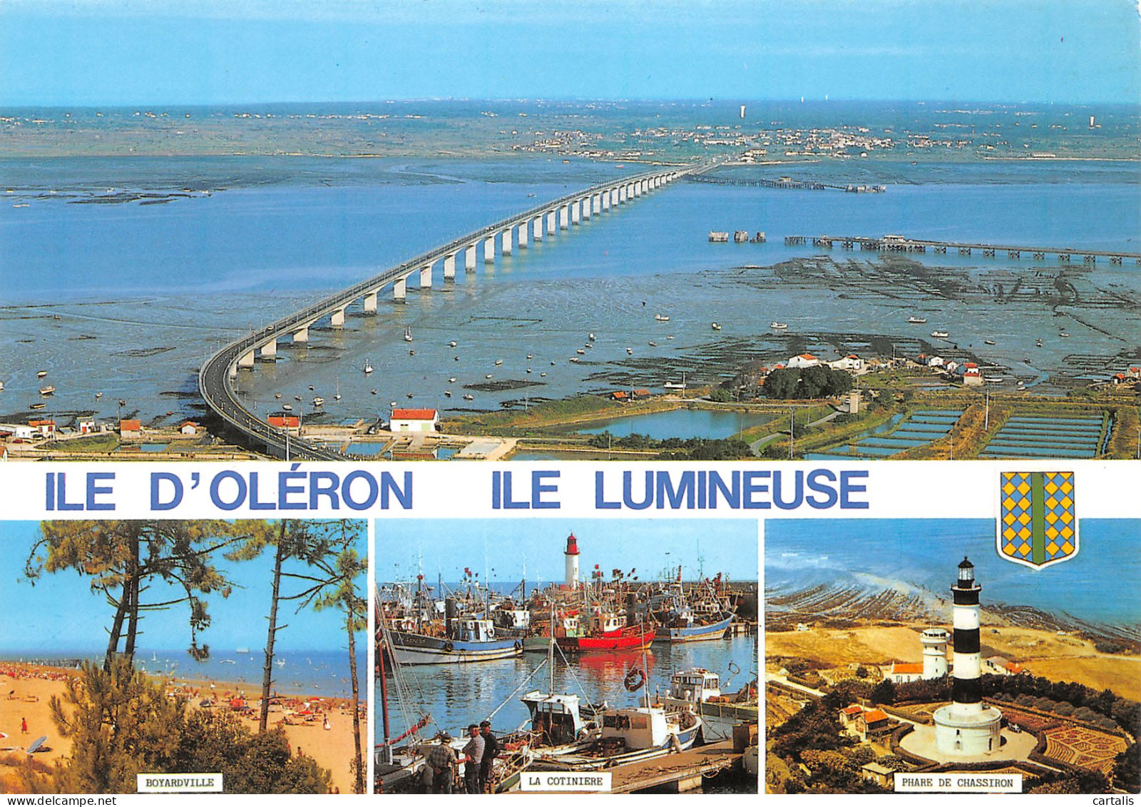 17-ILE D OLERON-N°3814-B/0231 - Ile D'Oléron