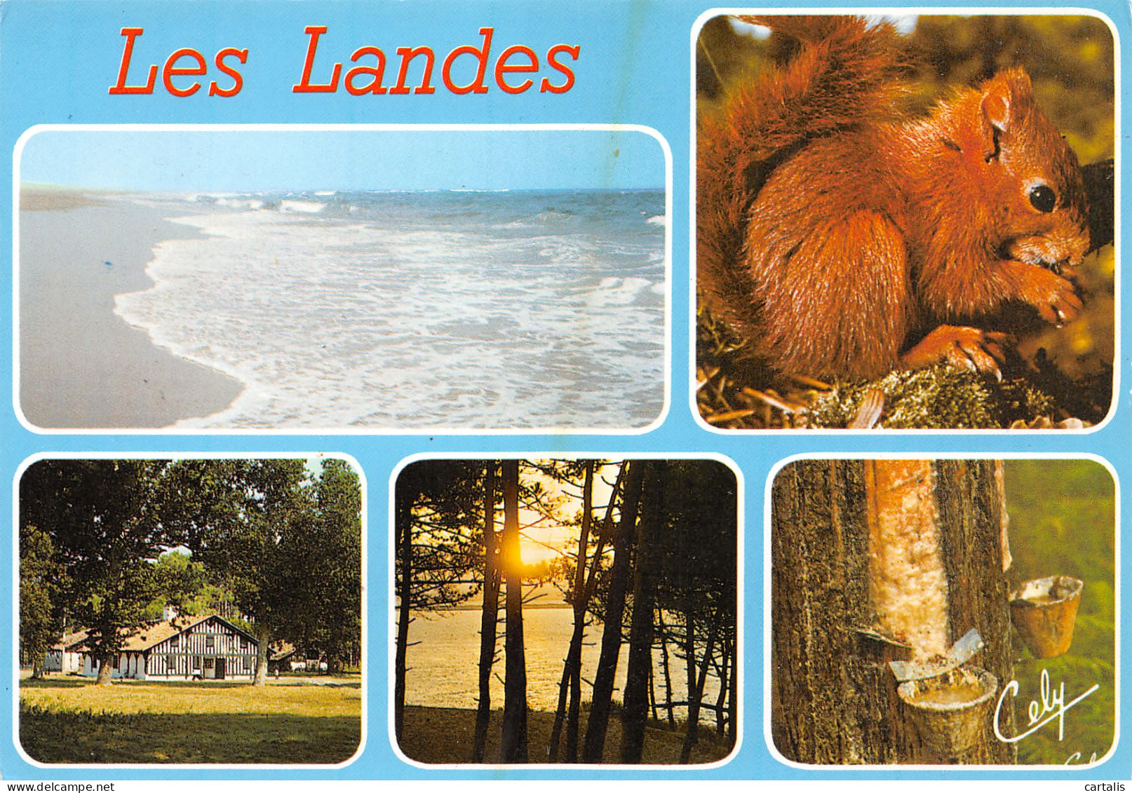 40-LES LANDES-N°3814-B/0173 - Other & Unclassified