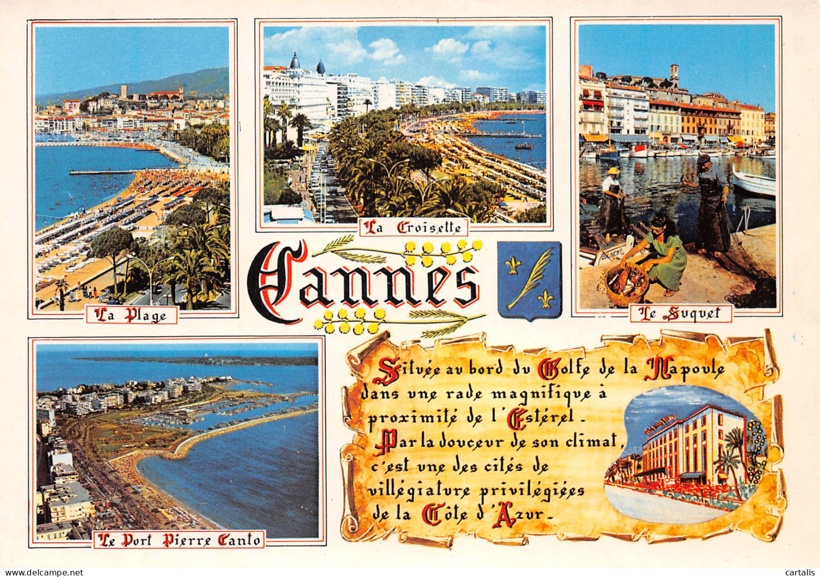 06-CANNES-N°3814-B/0053 - Cannes