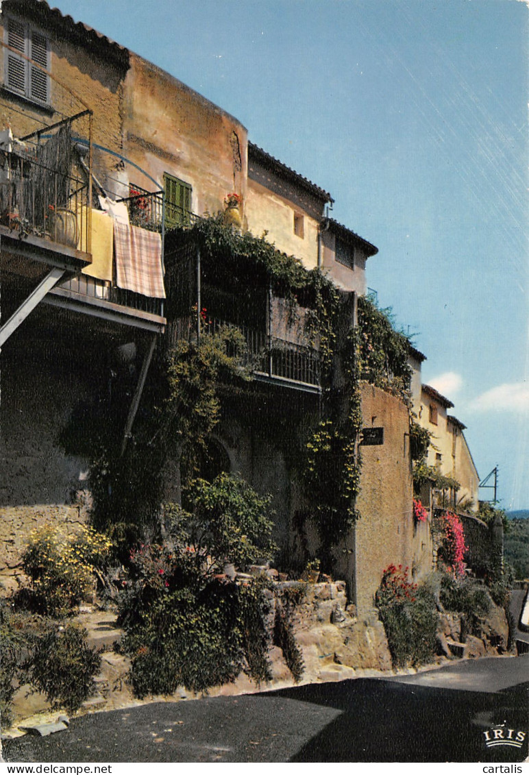 83-RAMATUELLE-N°3815-A/0079 - Ramatuelle