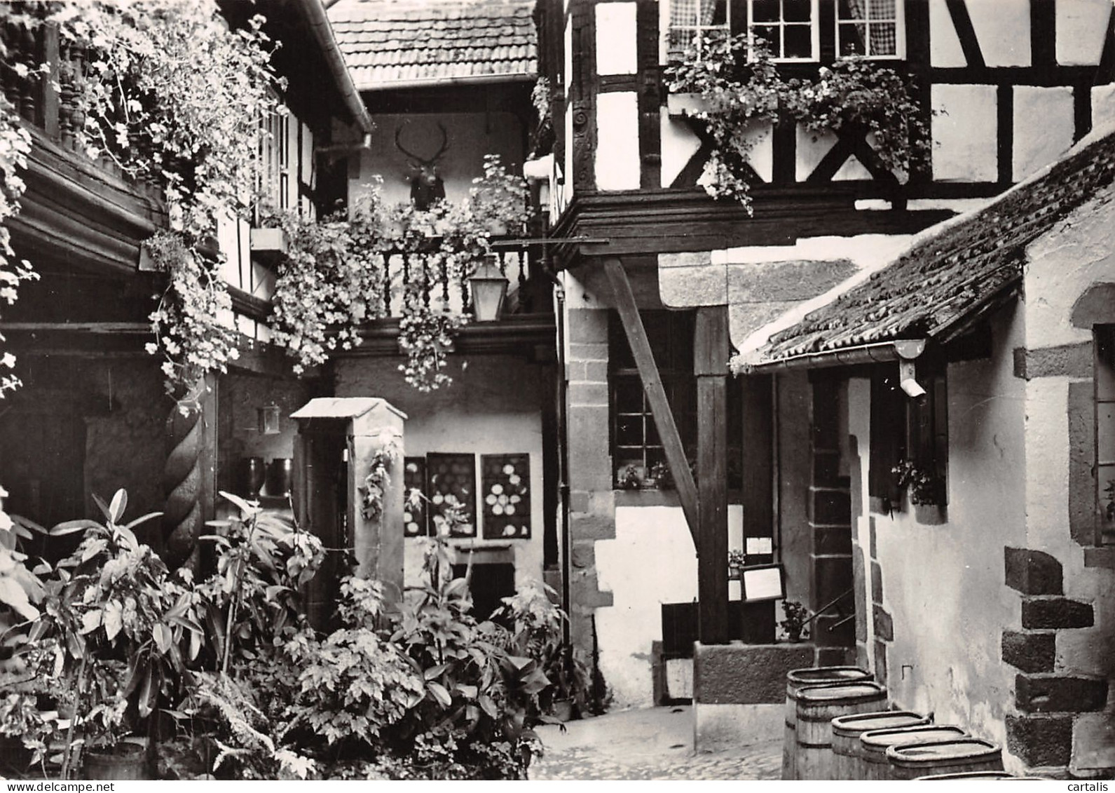 68-RIQUEWIHR-N°3815-C/0393 - Riquewihr