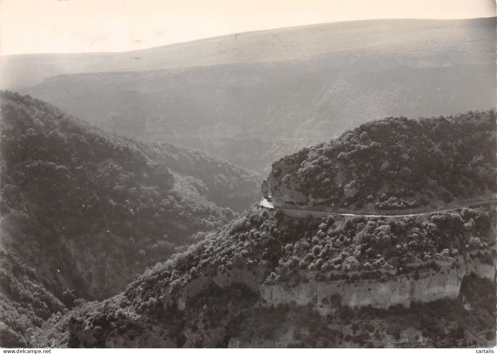 84-GORGES DE LA NESQUE-N°3815-C/0203 - Andere & Zonder Classificatie