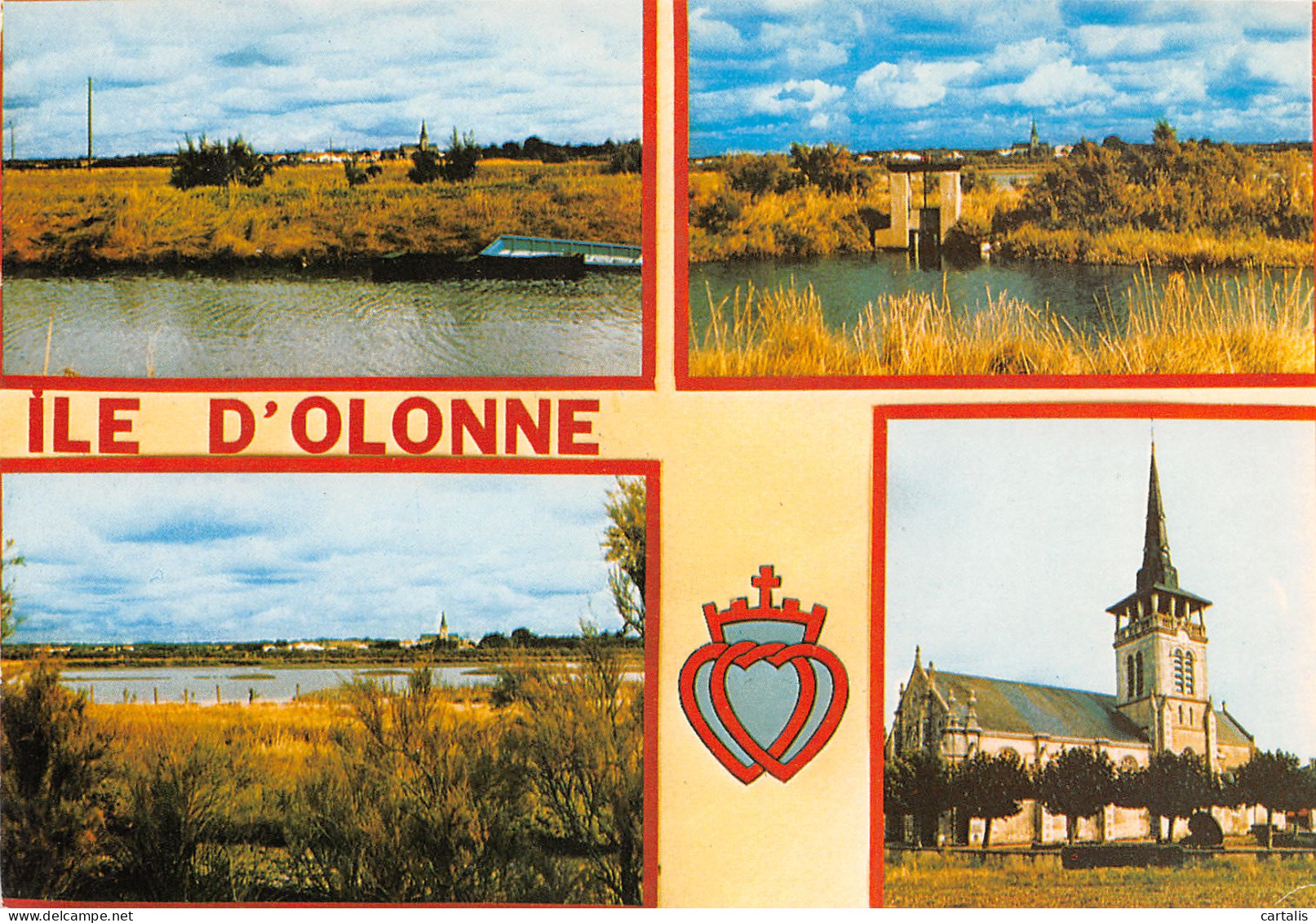 85-L ILE D OLONNE-N°3816-A/0279 - Sonstige & Ohne Zuordnung