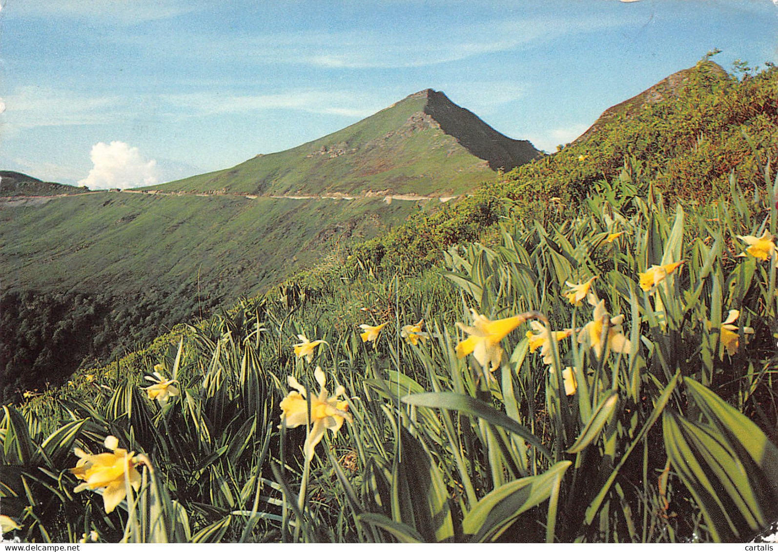 15-LE PUY MARY-N°3816-A/0059 - Autres & Non Classés