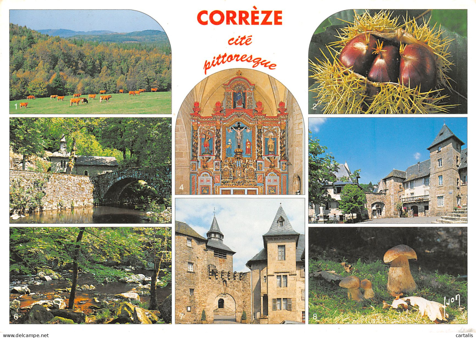 19-CORREZE-N°3816-D/0049 - Other & Unclassified