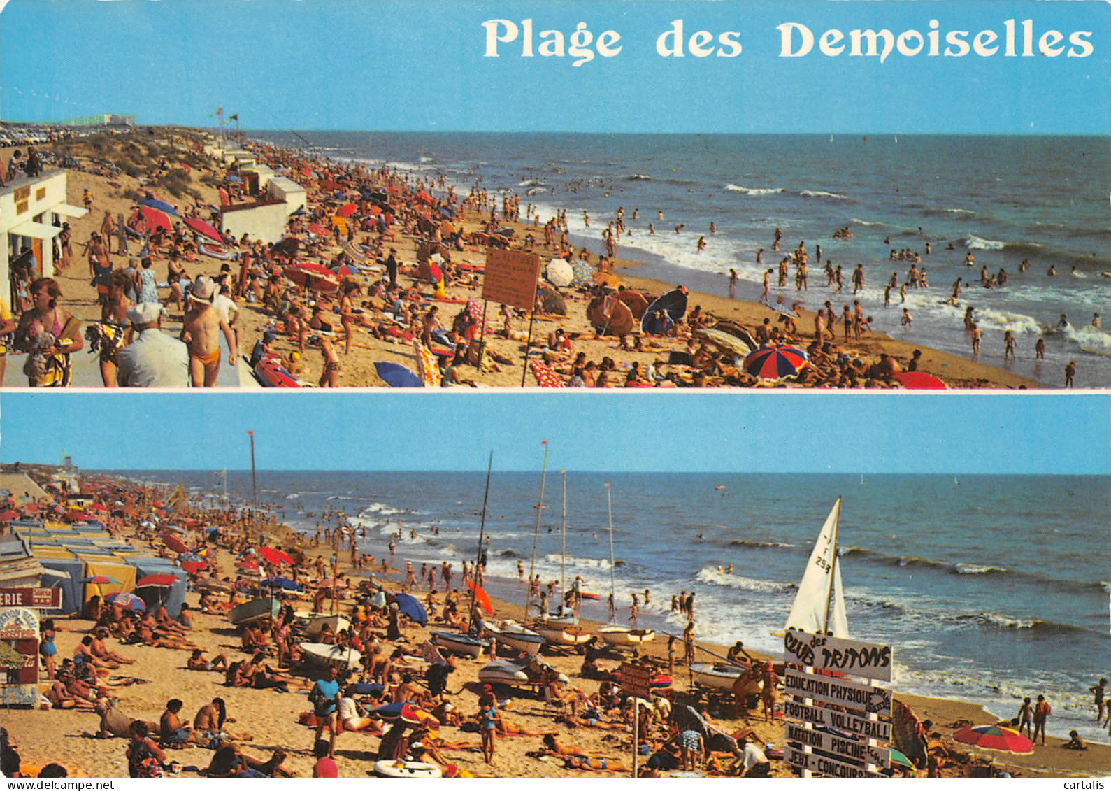 85-PLAGE DES DEMOISELLES-N°3816-C/0357 - Other & Unclassified