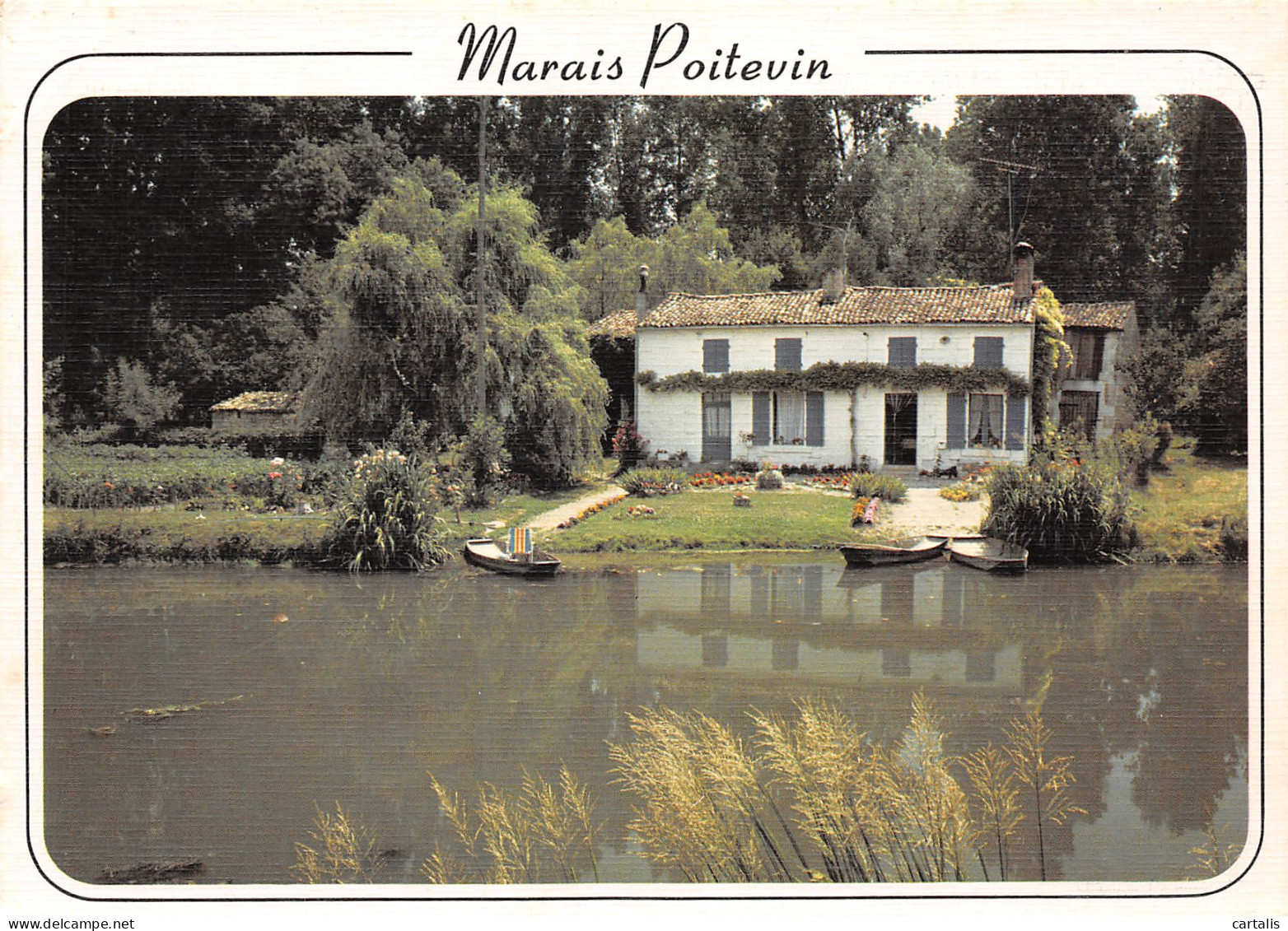 79-MARAIS POITEVIN-N°3816-C/0021 - Other & Unclassified