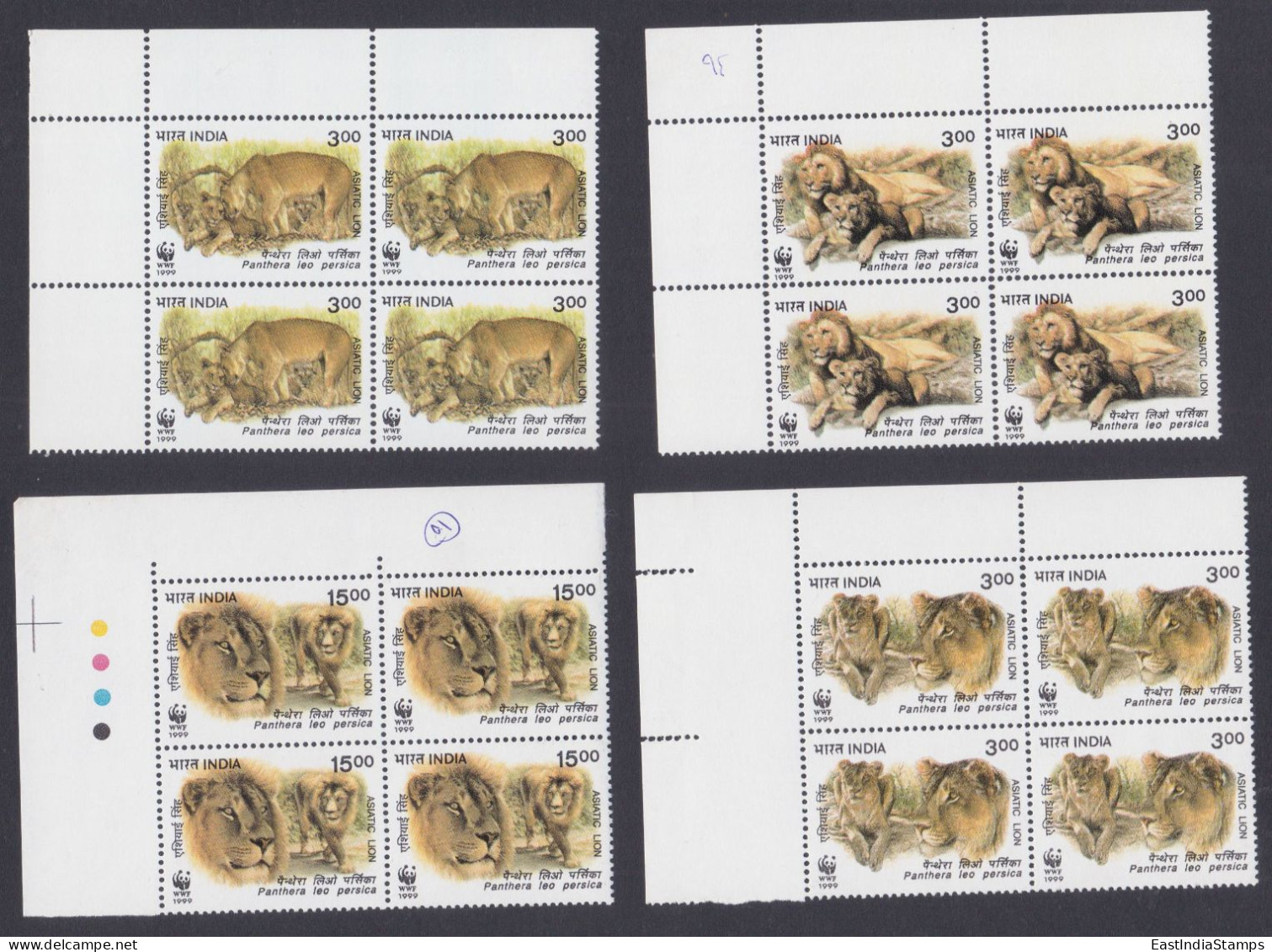 Inde India 1999 MNH WWF Asiatic Lions, Lion, Wildlife, Wild Life, Animal, Animals, Block - Nuevos