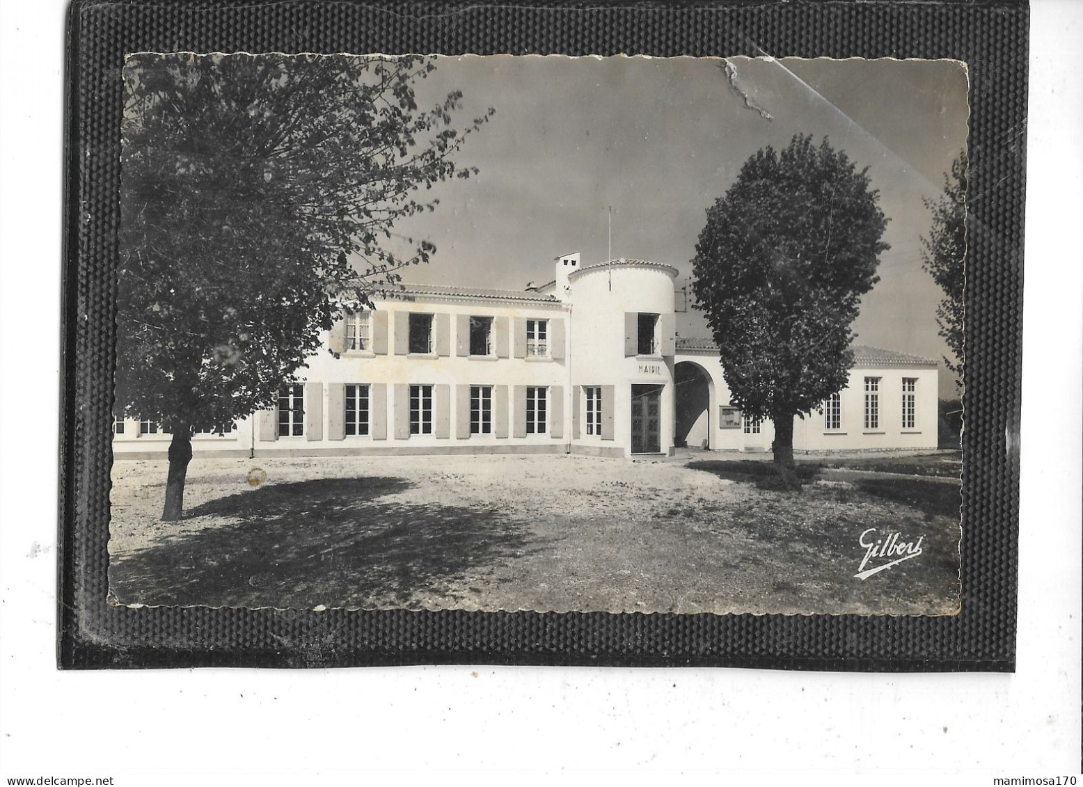 17- CHAMBON- ( Aigrefeuille-d'Aunis) -Une Vue Panoramique De La MAIRIE- - Autres & Non Classés