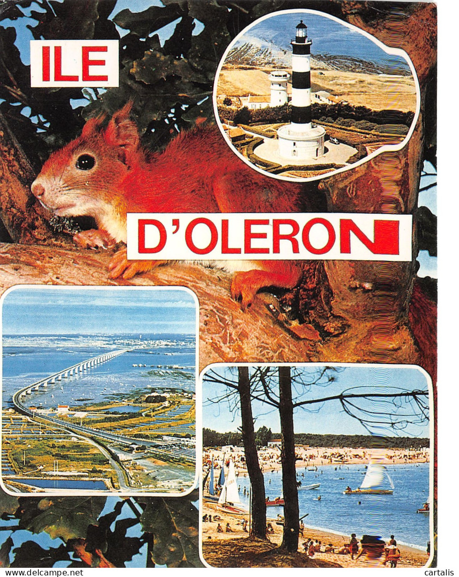 17-ILE D OLERON-N°3816-B/0107 - Ile D'Oléron